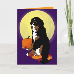 Carte Halloween bernois Mountain Dog