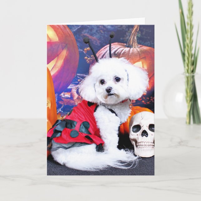 Carte Halloween - Bichon Frise - Mia (Devant)