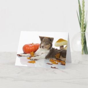 Carte halloween borlie