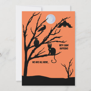 Carte Halloween de chat-hibou-corbeau-chauve-souri