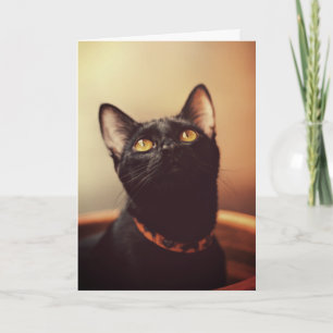 Carte Halloween de chat noir