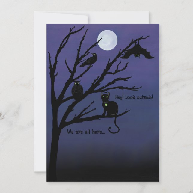 Carte Halloween de chat-souris-hibou-corbeau-nuit- (Devant)