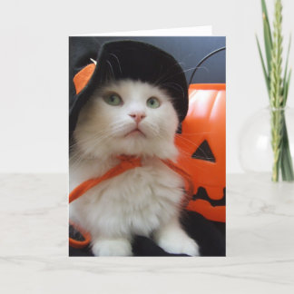 Carte Halloween d'un chat