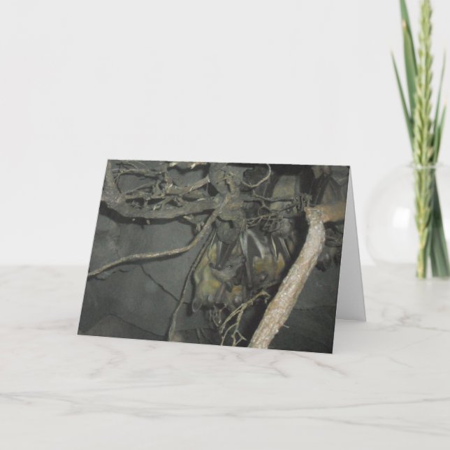 Carte Hallowe'en "Fruit Bats" (Devant)