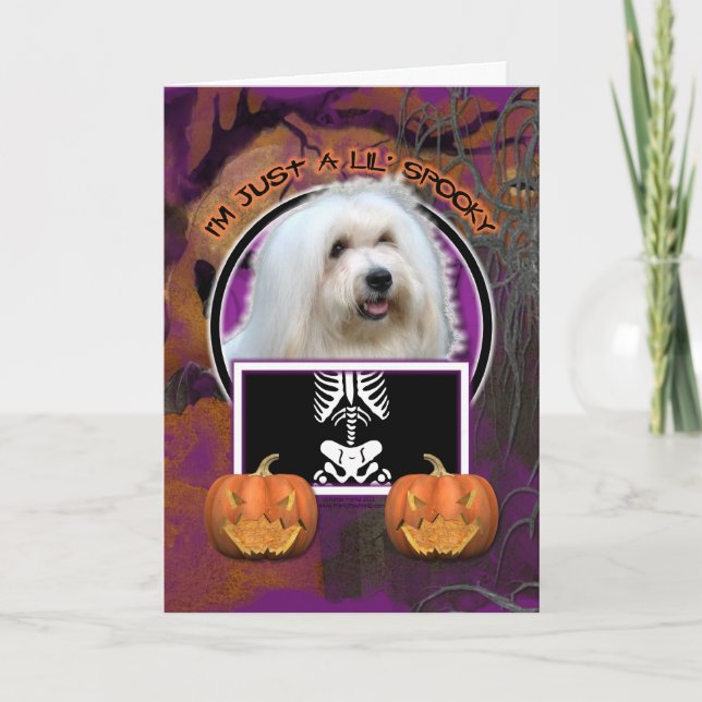 Carte Halloween - Just a Lil Éffrayant - Coton de Tulear (Devant)