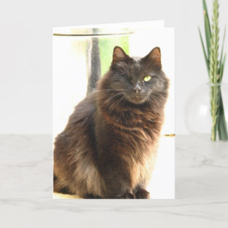 Carte Halloween-Un a observé le chat noir
