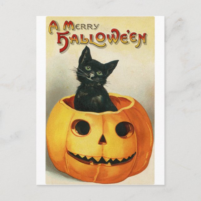 Carte Halloween vintage | Chat noir en Citrouille (Devant)
