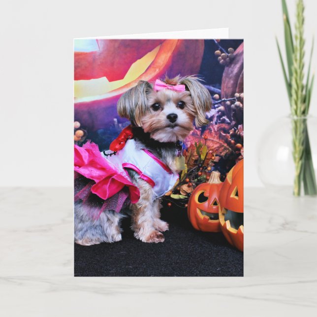 Carte Halloween - Yorkie - Zoey (Devant)