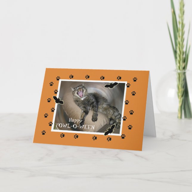 Carte Halloween Yowl-o-ween chauves-souris chattes (Devant)