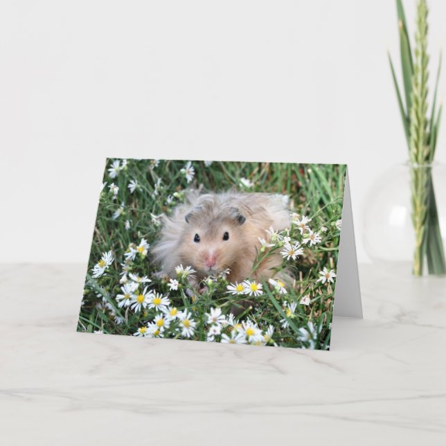 Carte Hamster en fleurs (Devant)