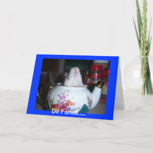 Carte Hamster En Teapot