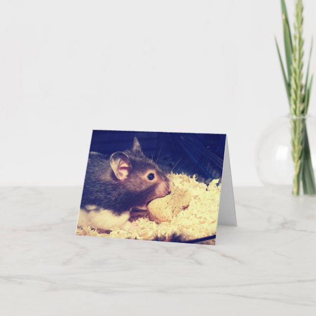 Carte Hamster Hungry (Devant)
