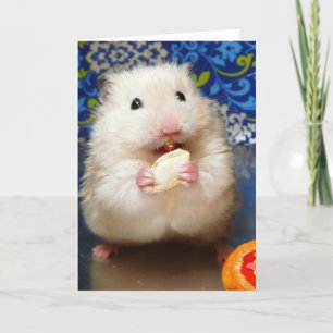 Carte Hamster syrien en mousse Kokolinka