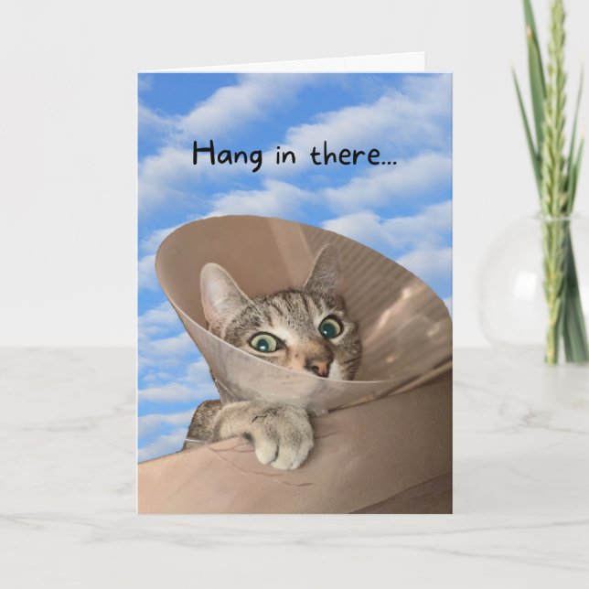 Carte Hang In There Chat in Cone Funny Se tirer bien (Devant)