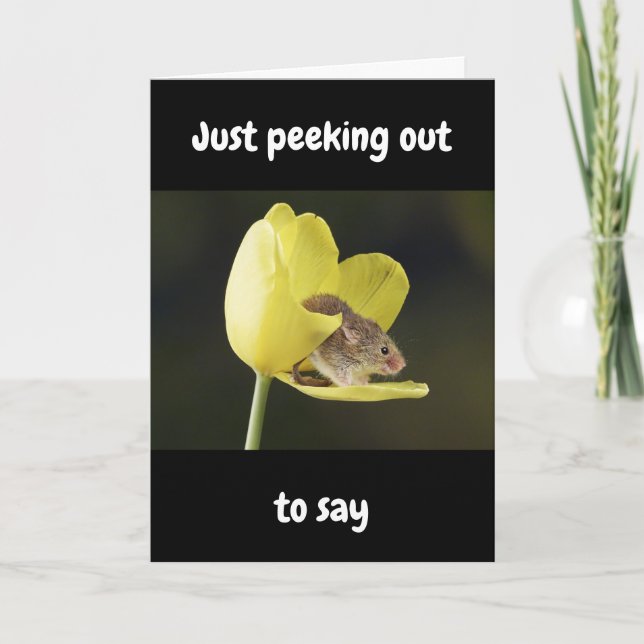 CARTE HAPPIEST OF "ALL" BIRTHDAYS WISHED TO "YOU" (Devant)