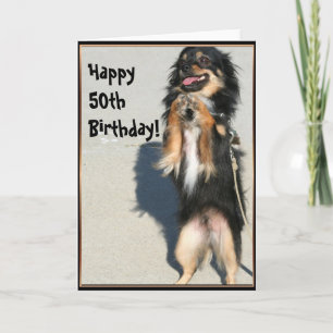 Carte Happy 50th birthday Chihuahua greeting card