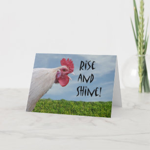 Carte Happy Anniversaire Humoristique Poulet Monter et b
