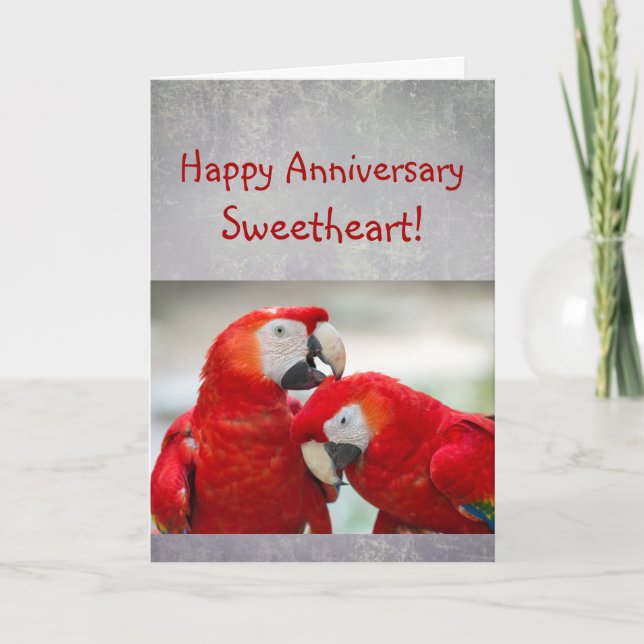 Carte Happy Anniversary Sweetheart Parrot Couple Love (Devant)