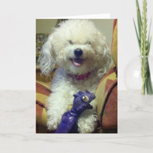 CARTE HAPPY BECUZ "YOU" ARE TURNING 30 !