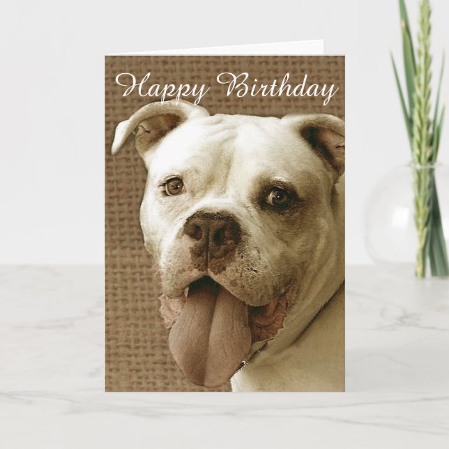 Carte Happy Birthday American bulldog greeting card (Devant)