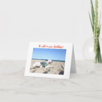 Happy Birthday! Beach Bull Terrier Hawaii