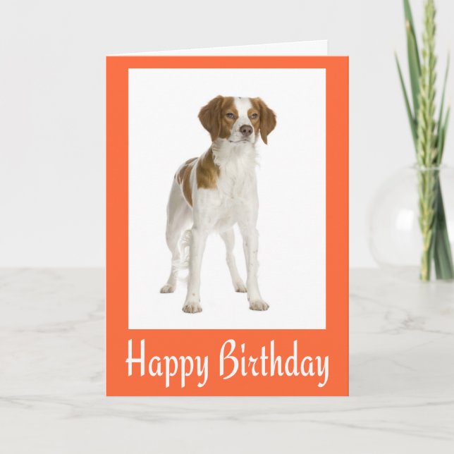 Carte Happy Birthday Brittany Spaniel Puppy Dog Card (Devant)