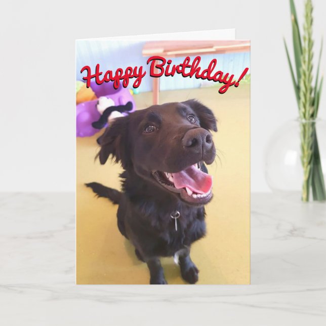 Carte Happy Birthday Card | The Happy Boy (Devant)