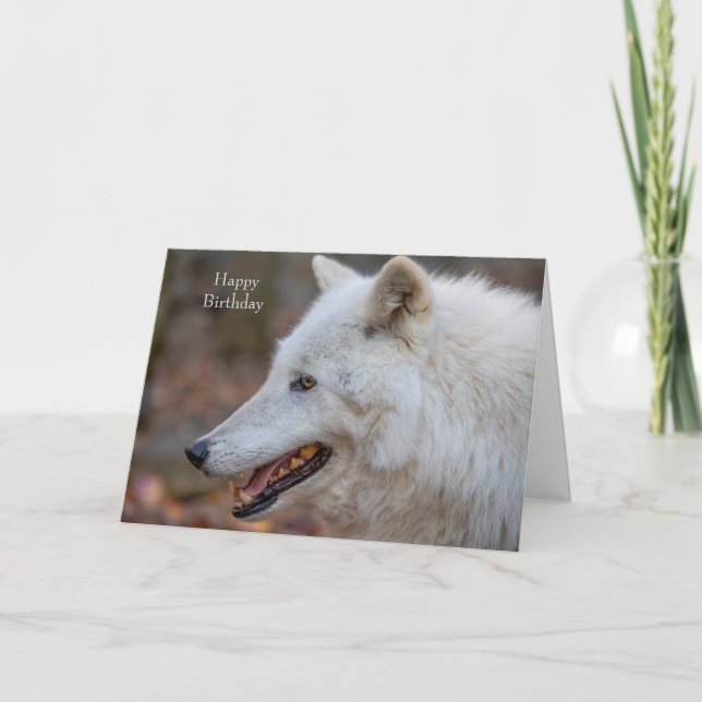 Carte Happy Birthday Card Wolf (Devant)