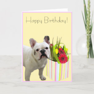Carte Happy Birthday french bulldog greeting