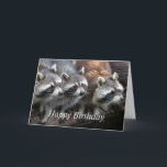 Carte Happy Birthday from all us Animals<br><div class="desc">Happy Birthday from all us animals.   Raccoons from the whole Group,  Family or Friends Cute Animal</div>