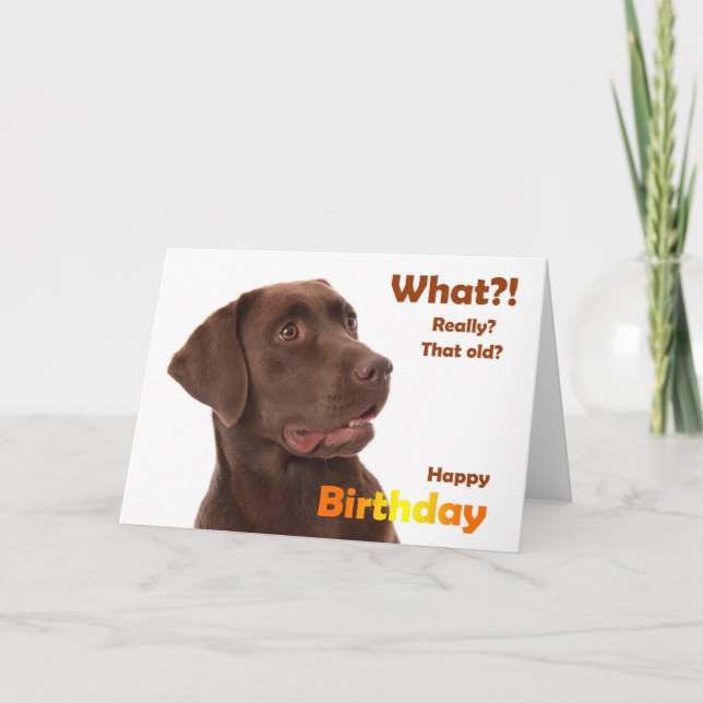 Carte Happy Birthday fun card avec Labrador dog (Devant)