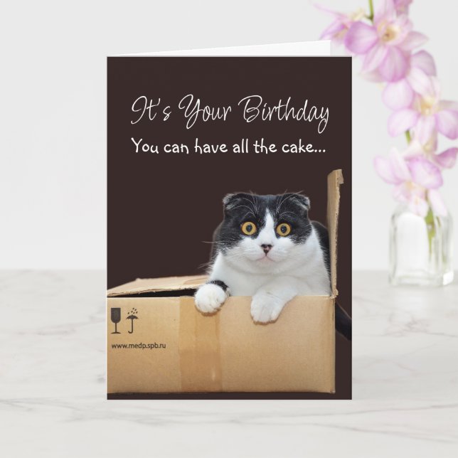 Carte Happy Birthday Funny Cat  (Orchidée)