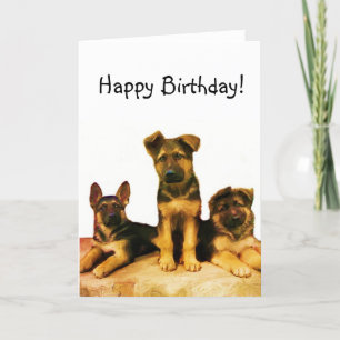 Carte Happy Birthday German Shepherd puppies card