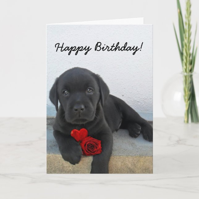 Carte Happy Birthday Labrador Retriever greeting card (Devant)