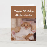 Carte Happy Birthday Mother-in-law Celebrate Funny Cat<br><div class="desc">Happy Birthday Mother-in-law  Celebrate it any way you want with a cute relaxing Cat Funny animal birthday greeting to customize</div>