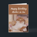 Carte Happy Birthday Mother-in-law Celebrate Funny Cat<br><div class="desc">Happy Birthday Mother-in-law  Celebrate it any way you want with a cute relaxing Cat Funny animal birthday greeting to customize</div>