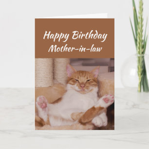 Carte Happy Birthday Mother-in-law Celebrate Funny Cat