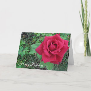 Carte Happy Birthday Red Rose and Raindrops Card