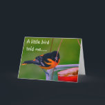 CARTE **HAPPY BIRTHDAY** SAYS BIRDIE<br><div class="desc">HAPPY BIRTHDAY WISHES FROM THIS BEAUTIFUL BALTIMORE ORIOLE AND FROM WHOMEVER SIGNS THE CARD :) 
THANKS FOR STOPPING BY 1 OF MY 8 STORES.</div>