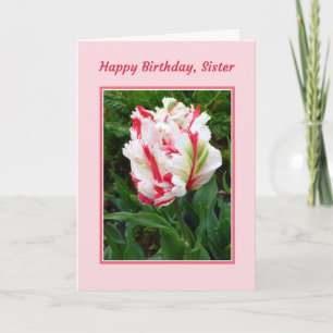 Carte Happy Birthday, Sister