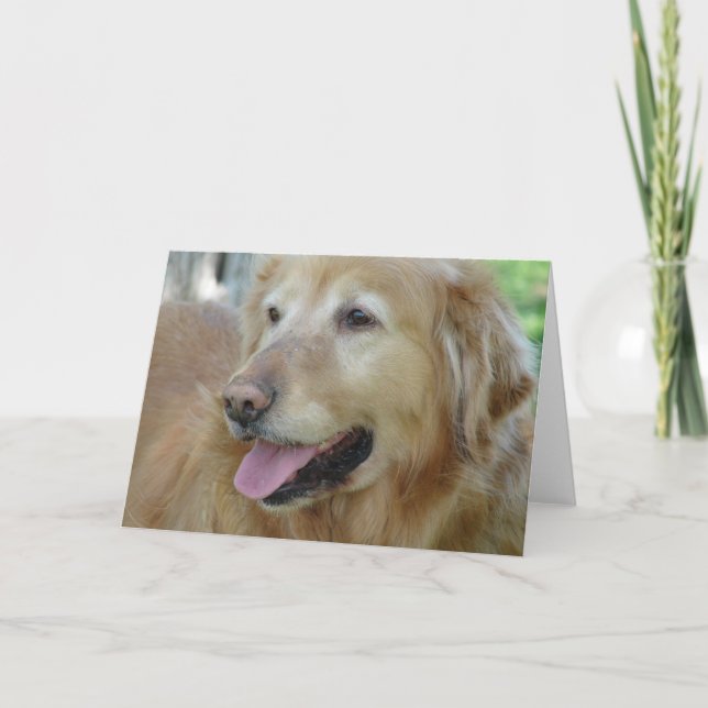 Carte Happy Golden Retriever (Devant)