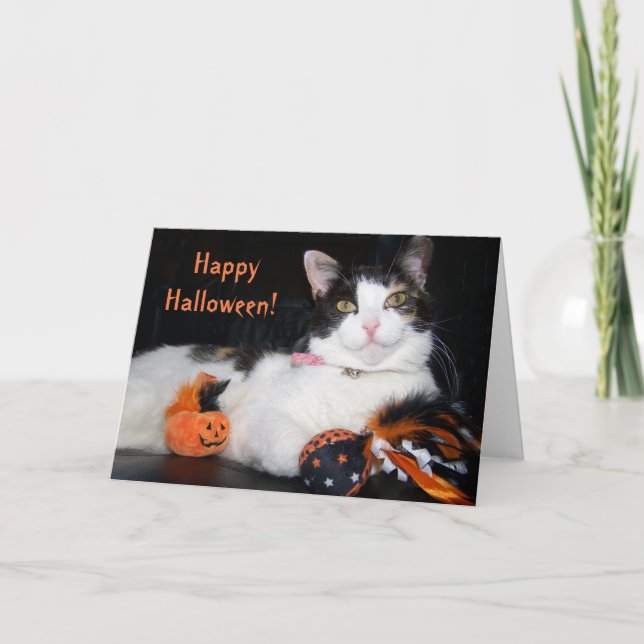 Carte Happy Halloween Chat Calico Kitty avec Citrouille (Devant)