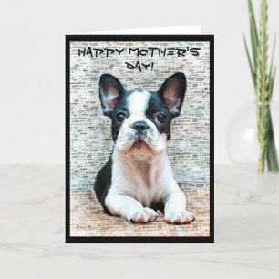 Carte Happy Mother's Day French Bulldog greeting card