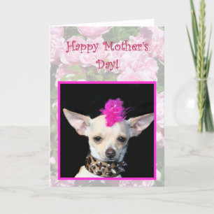 Carte Happy Mother's Day Punk Chihuahua greeting card