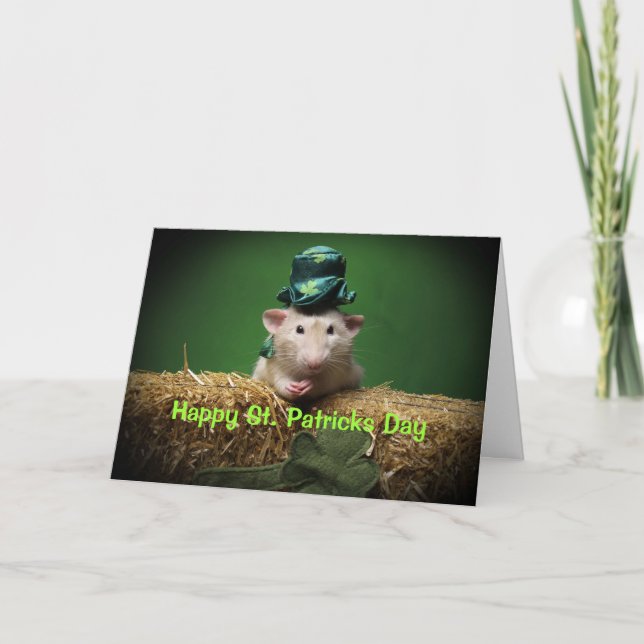 Carte Happy St. Patricks Day card (Devant)