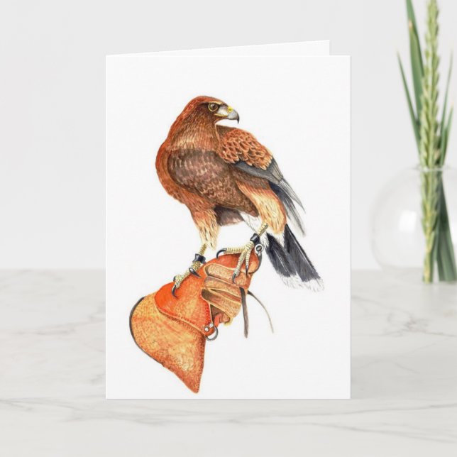 Carte Harris Hawk sur Glove (Devant)