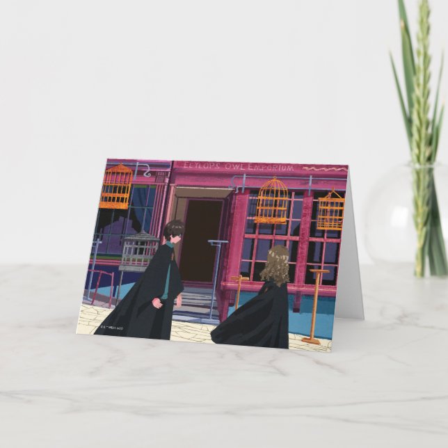 Carte HARRY POTTER™ & Hermione à Eeylops Owl Emporium (Devant)