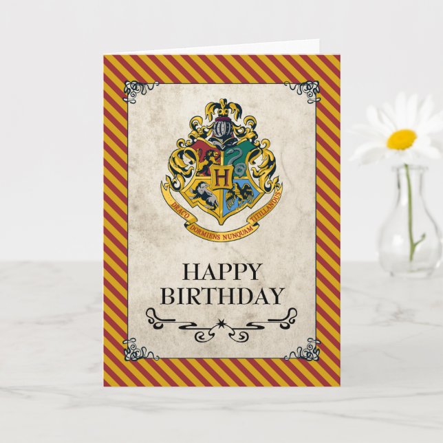 Bannière Anniversaire Harry Potter Unique Party - 1.82m - Décoration Fête Thématique