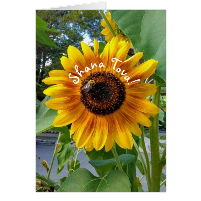 Carte Hashanah de tournesol jaune joyeux (Devant)