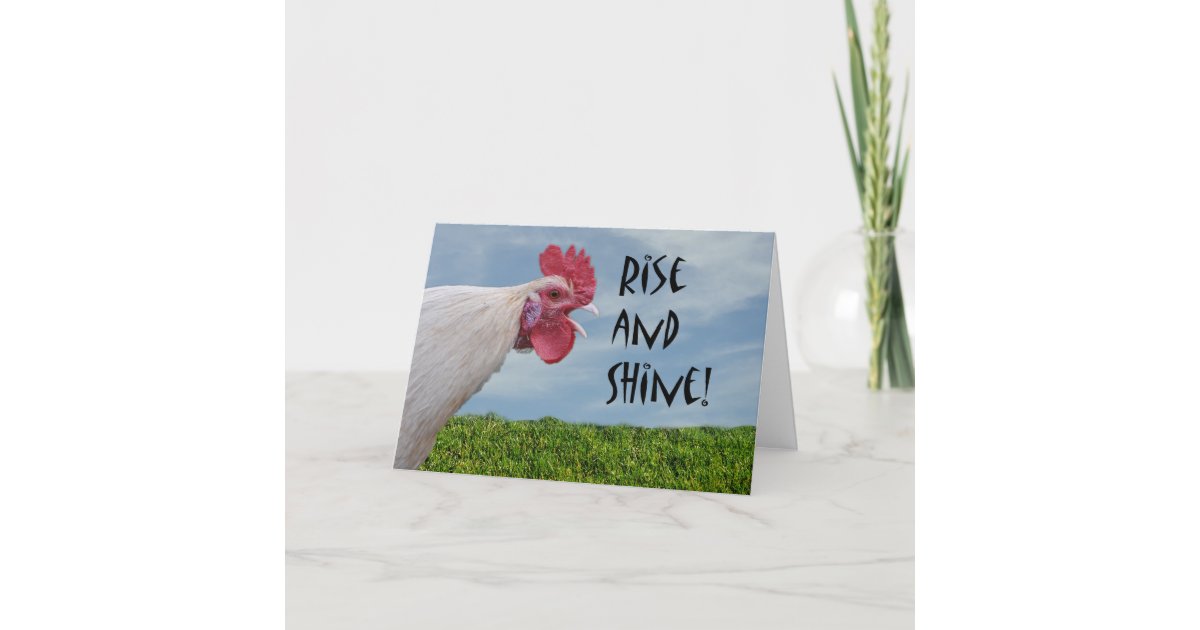 Carte Hausse Humoristique De Poulet Et Anniversaire Zazzle Fr